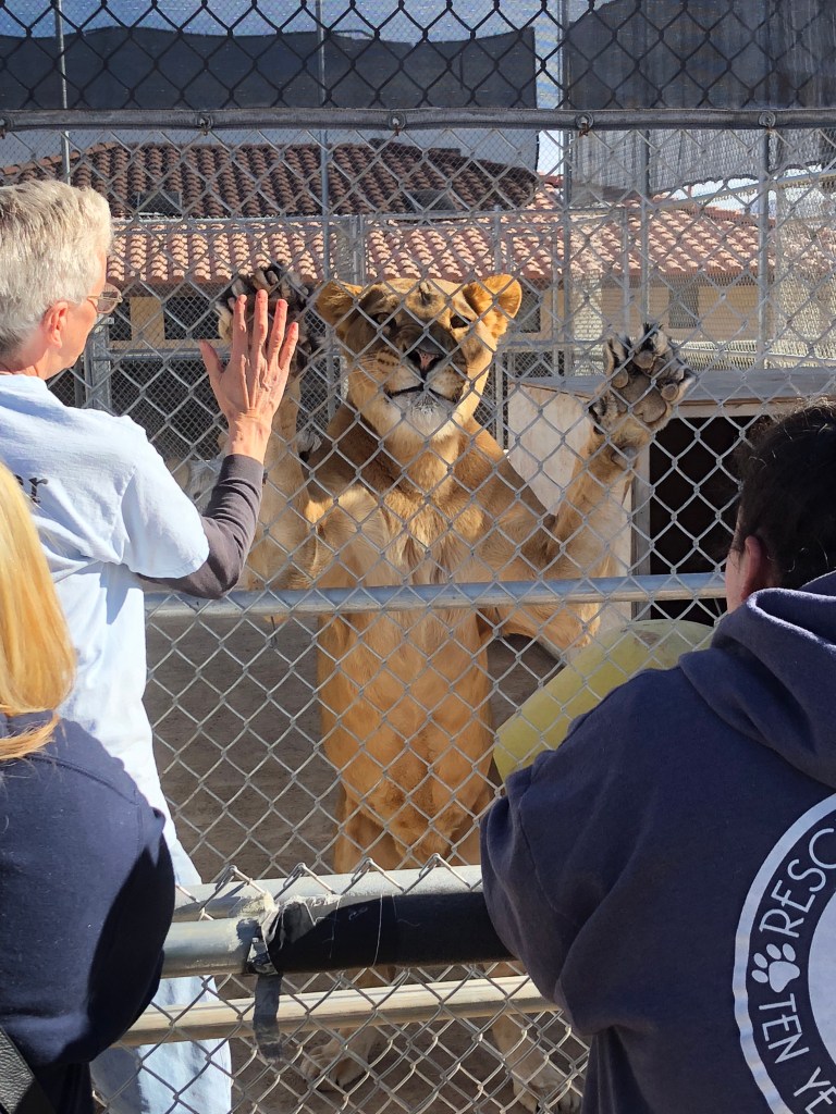 591E0DA5-712F-4F06-8002-6B711FB46FEA