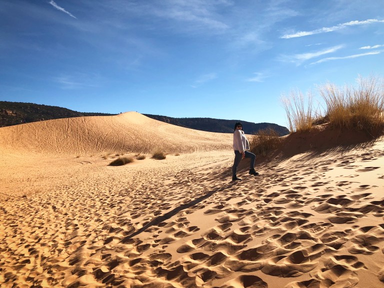 88616CB0-98B7-42AA-8EAC-9E285B27233E