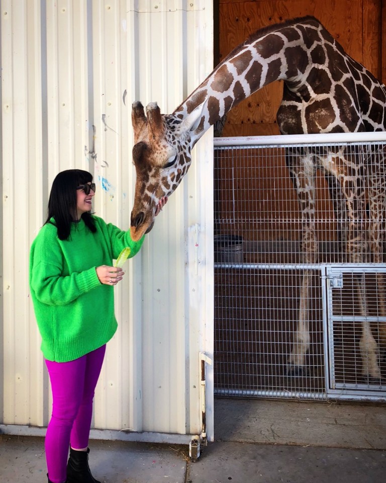 B20BD65E-BAFC-4E39-9133-CC589079FDDE